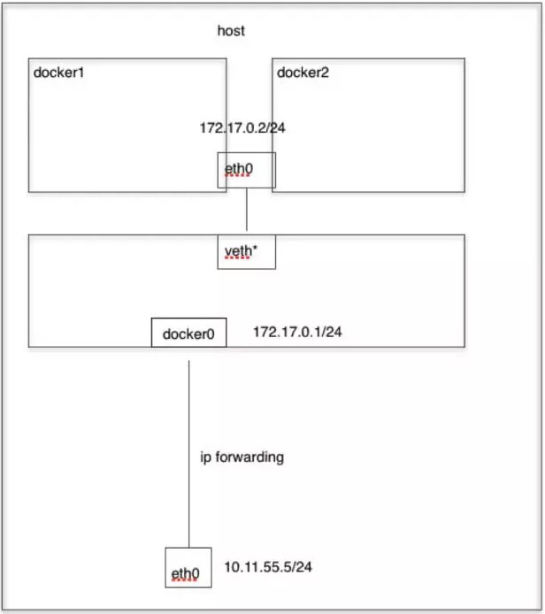 docker container网络